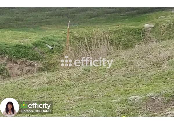 Terrain - 1249 m² Exclusivité efficity