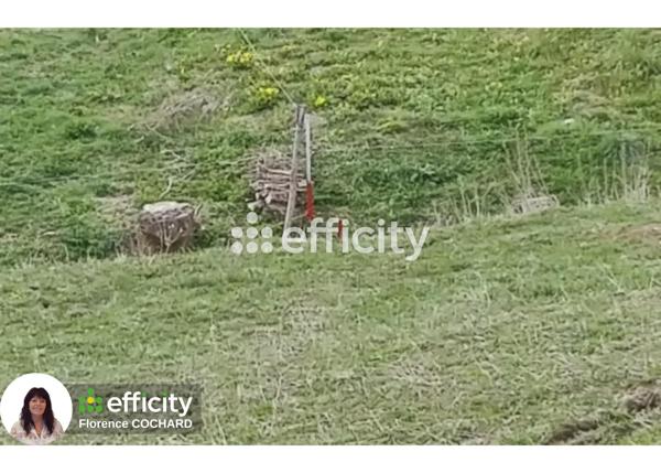 Terrain - 1249 m² Exclusivité efficity