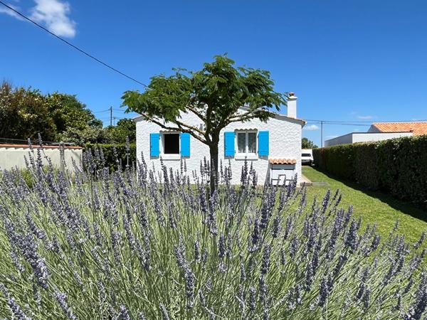 Saint-Pierre - À deux pas du port : maison avec studio indépendant sur 862 m² de terrain