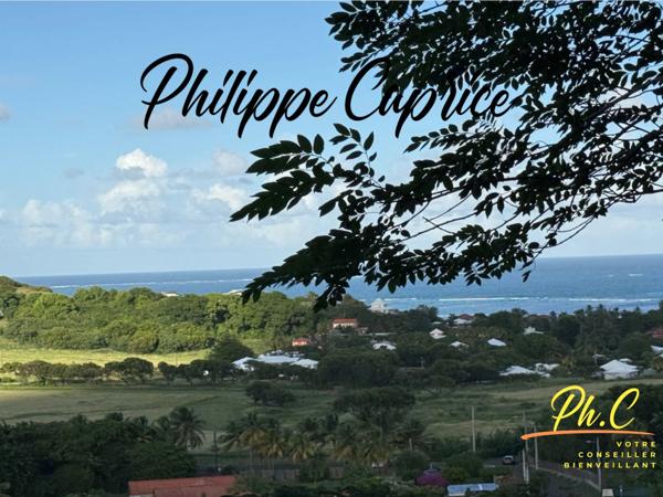 Terrain 2 255 m² à vendre LE FRANCOIS (972)