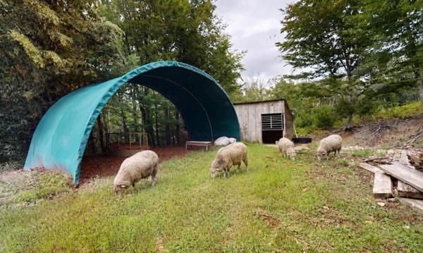 7,7 hectares entre prairies, bois