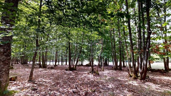 7,7 hectares entre prairies, bois