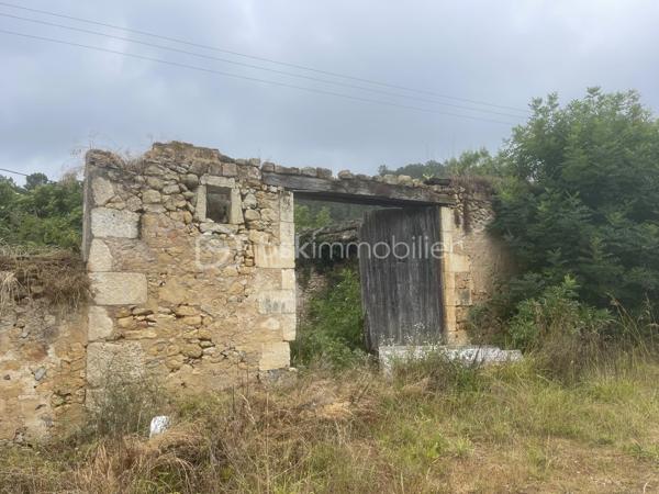 Terrain agricole de 2 908 m²