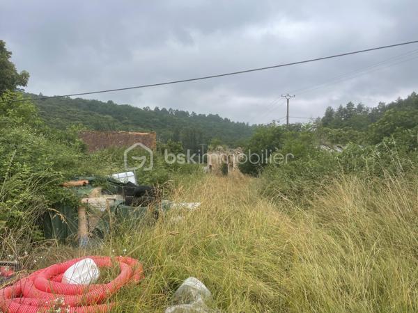 Terrain agricole de 2 908 m²