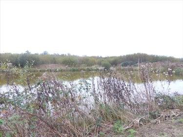 Terrain de loisirs - Bois - Etang à vendre à Pirou dans la Manche (50770), ref : OffLine