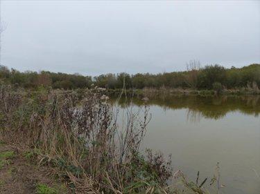 Terrain de loisirs - Bois - Etang à vendre à Pirou dans la Manche (50770), ref : OffLine
