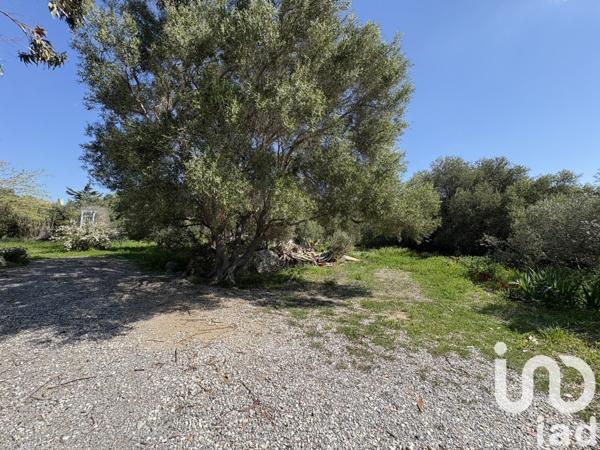 Maison à vendre 6 pièces 121 m² La Palme