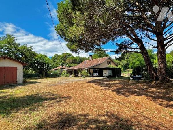 Maison à vendre à Seignosse (40510) dans les Landes (40)

Sur une grande propriété de 3344m² ...