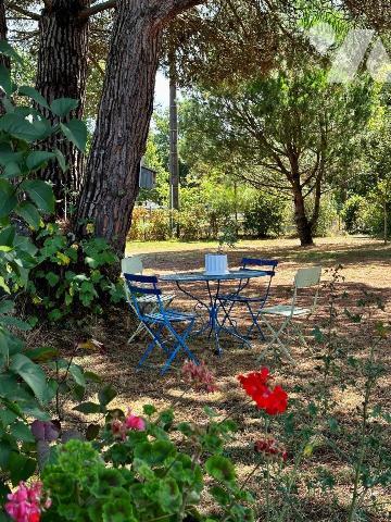 Maison à vendre à Seignosse (40510) dans les Landes (40)

Sur une grande propriété de 3344m² ...