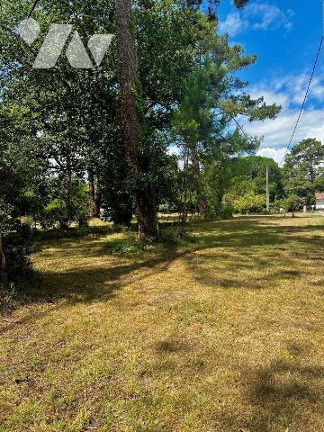 Maison à vendre à Seignosse (40510) dans les Landes (40)

Sur une grande propriété de 3344m² ...