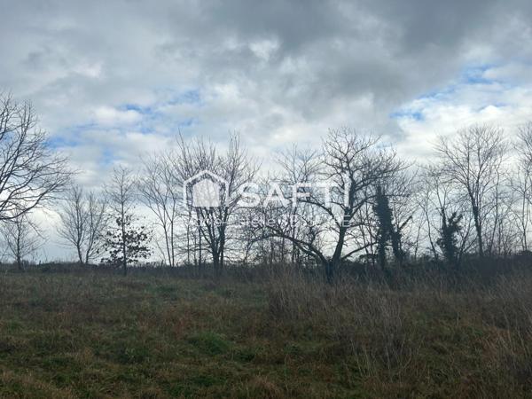 Superbe terrain dans environnement privilégié à 10 minutes de Bordeaux