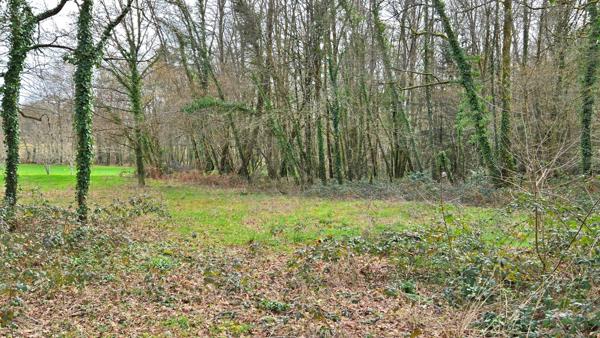 TERRAIN 1676M² - ENVIRONNEMENT CAMPAGNE ET BOISE