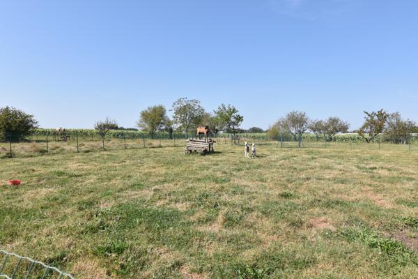 Maison à vendre - 7 pièces sur 11000 m² de terrain