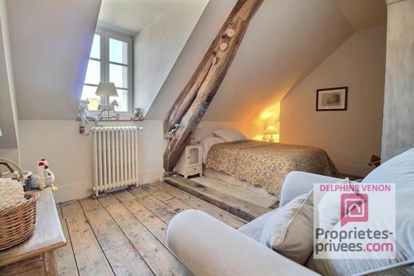 Maison prestige entre Loire et coeur de ville à Châteauneuf Sur Loire  sur un parc de 1600 m²  dominant  les terres du château