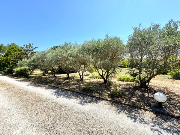 À vendre  Maison de plain-pied 4 pièces avec grand terrain  Proche commodités