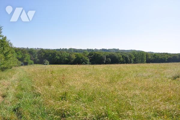 10 kms AURIGNAC, belle maison 131m² sur 10 hectares de terre attenante : prix : 296.800 € C.C.