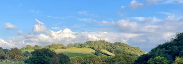 Terrain à vendre SARE (64)