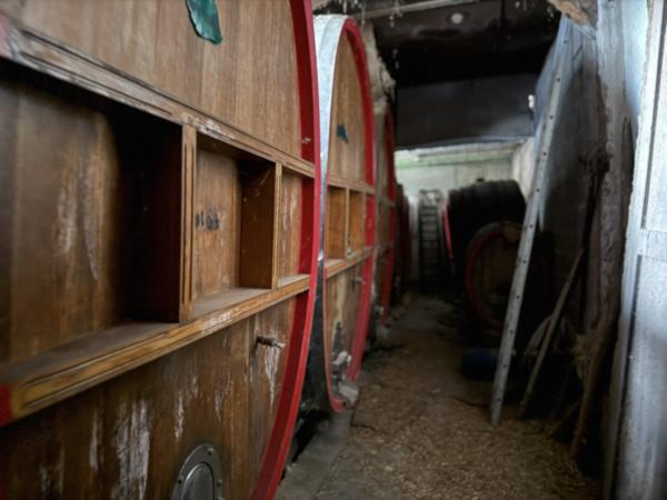 Ensemble à Molsheim - Local commercial - Maison - Dépendance