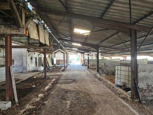 Grands bâtiments + hangars sur 2,4 ha de terrain