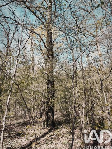 Terrain à vendre 6 725 m² Charny Orée de Puisaye