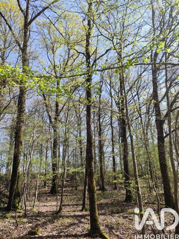 Terrain à vendre 6 725 m² Charny Orée de Puisaye