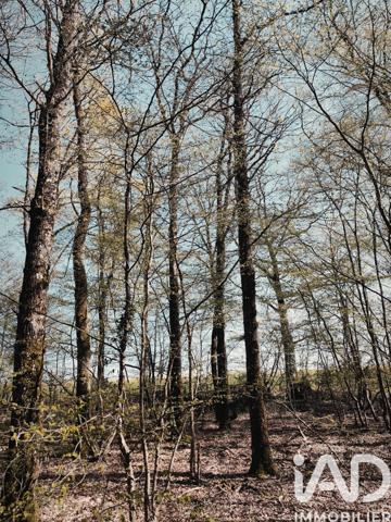 Terrain à vendre 6 725 m² Charny Orée de Puisaye