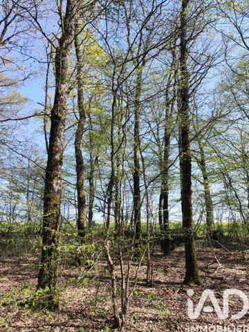 Terrain à vendre 6 725 m² Charny Orée de Puisaye