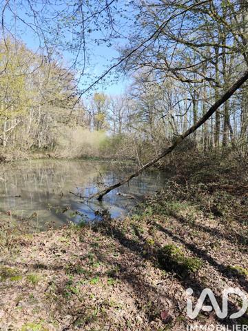 Terrain à vendre 6 725 m² Charny Orée de Puisaye