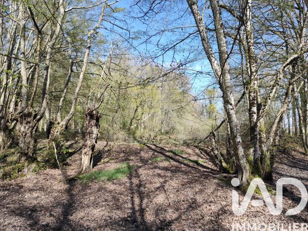 Terrain à vendre 6 725 m² Charny Orée de Puisaye