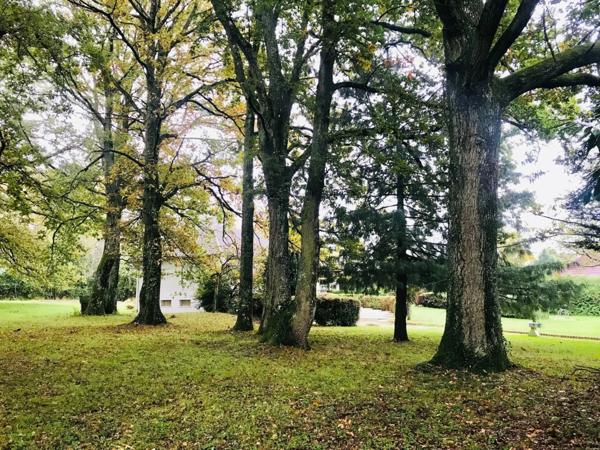 Maison à vendre 6 pièces avec grand terrain