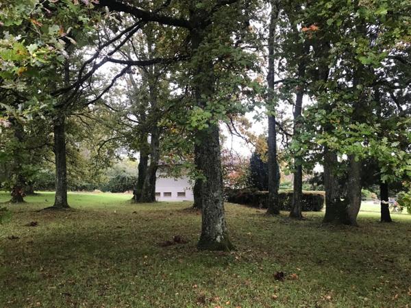 Maison à vendre 6 pièces avec grand terrain