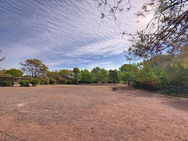 Magnifique bastide avec domaine de plus de 1 hectare