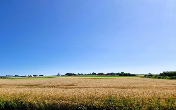 Maison à vendre    5 pièces • 106 m2 Plozévet