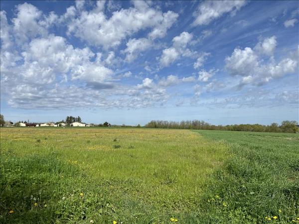 Terrain à vendre |  Rouillac |  17100 m²