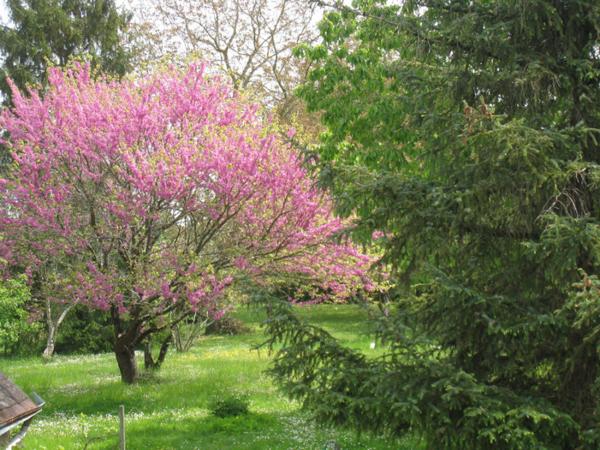 Maison Preuilly Sur Claise 5 pièce(s) 87 m2