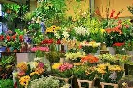 Locaux d'activité à CANNES (06150)