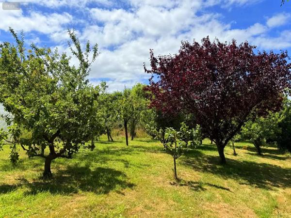 Achat - Maison Lamballe-Armor 22400 4 pièces 98 m 2 2440 m 2