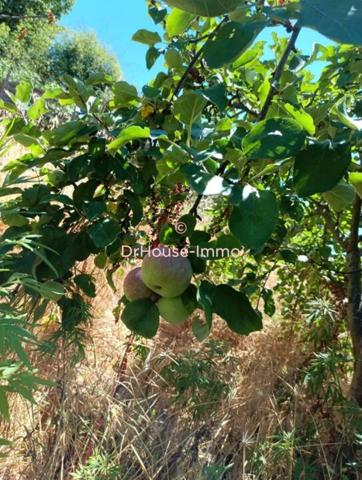 Maison à vendre 8 pièces de 215 m²