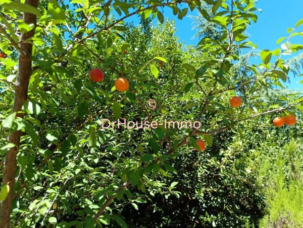 Maison à vendre 8 pièces de 215 m²