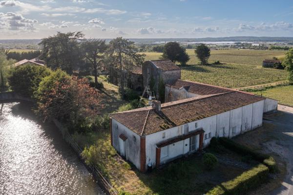 Château de la Mouchetière