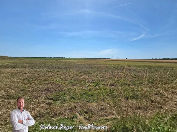 Terrain constructible viabilisé de 1 137 m², environnement calme et verdoyant VAL DU MIGNON (79)