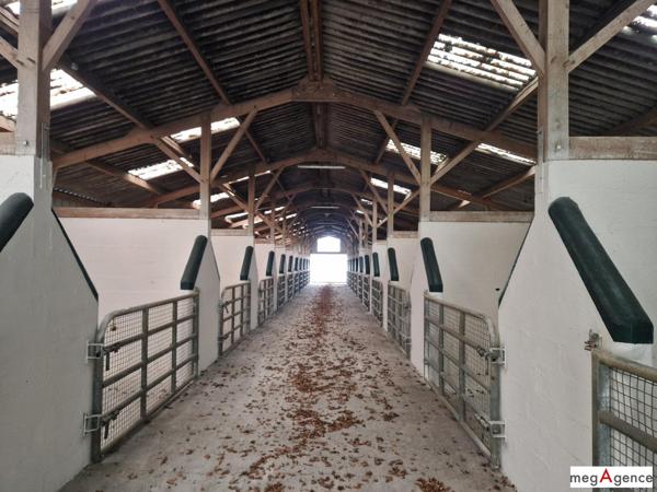 Maison à NOZAY, 44170 - 5 pièces 168m²