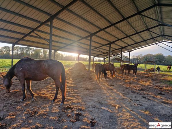 Maison à NOZAY, 44170 - 5 pièces 168m²