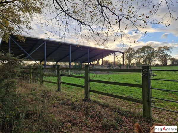 Maison à NOZAY, 44170 - 5 pièces 168m²