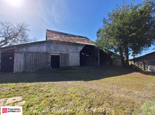 Maison avec diverses dépendances sur terrain de 3 000 m²  - Vernoil le Fourrier (49390)