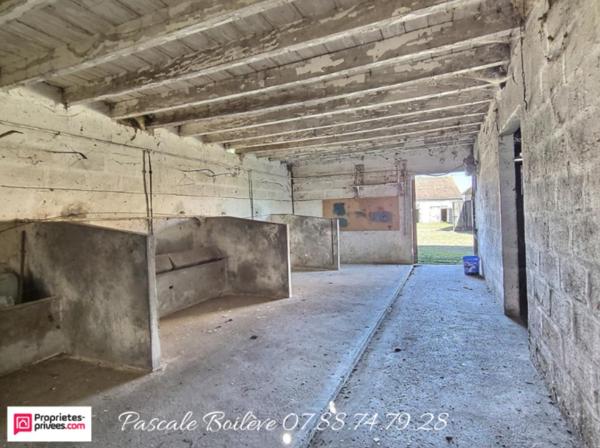 Maison avec diverses dépendances sur terrain de 3 000 m²  - Vernoil le Fourrier (49390)