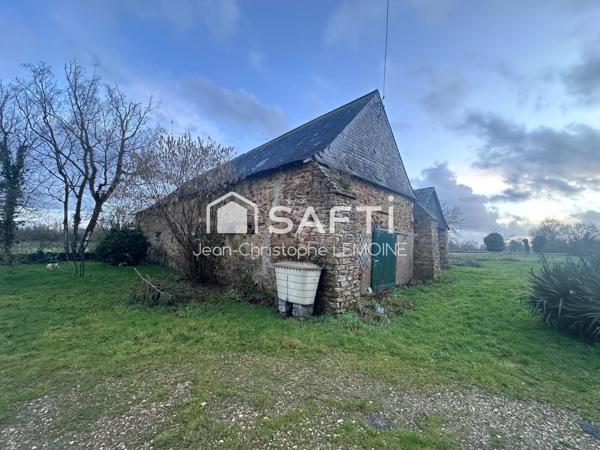 Manoir de 250 m2 avec 4 ha pour chevaux