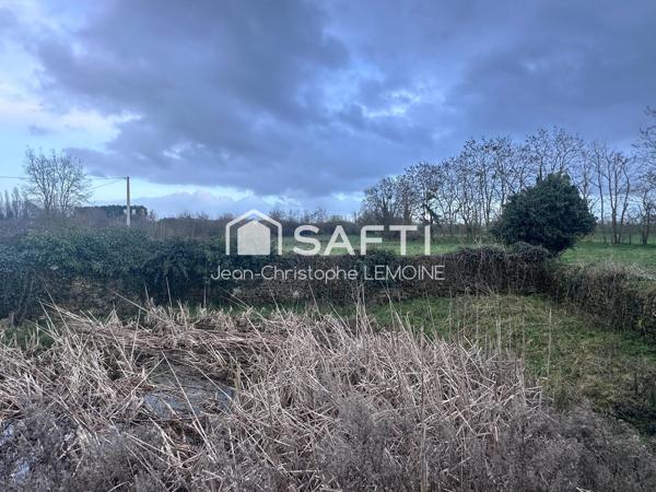 Manoir de 250 m2 avec 4 ha pour chevaux
