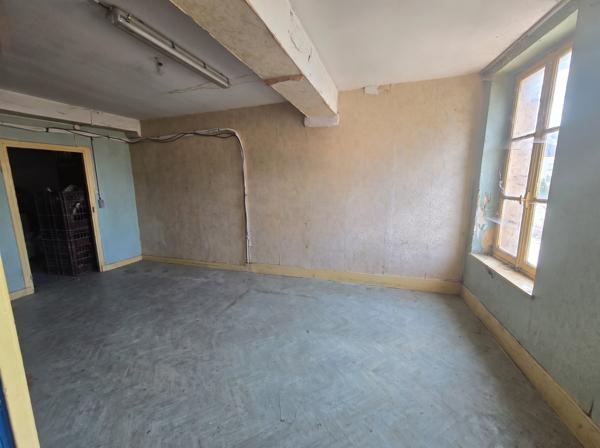 immeuble 244 m² à auxonne avec commerce et appartement à rénover