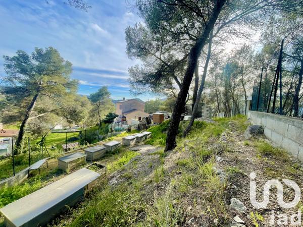 Terrain à vendre 535 m² Blausasc